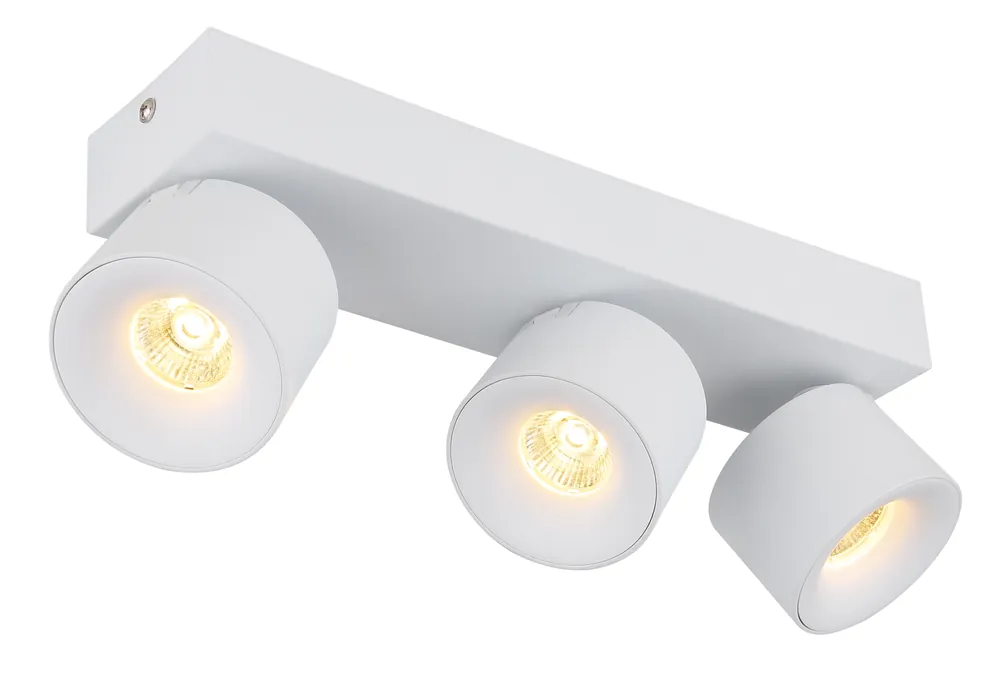 Sofort Bestellen RAE LED Strahler