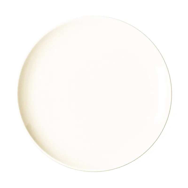 Mega-Angebot Coupteller flach 290 mm plain-white Nano