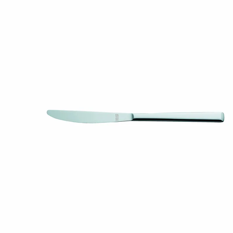 Schnäppchen Menümesser Monoblock 221 mm