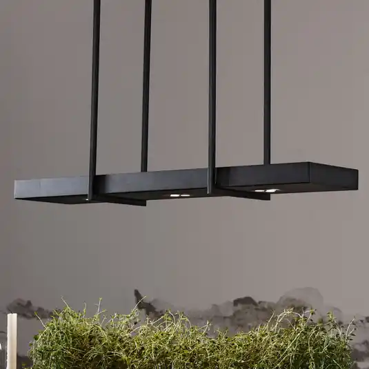 Angebot Tray 3 Pendelleuchte Schwarz - Markslöjd