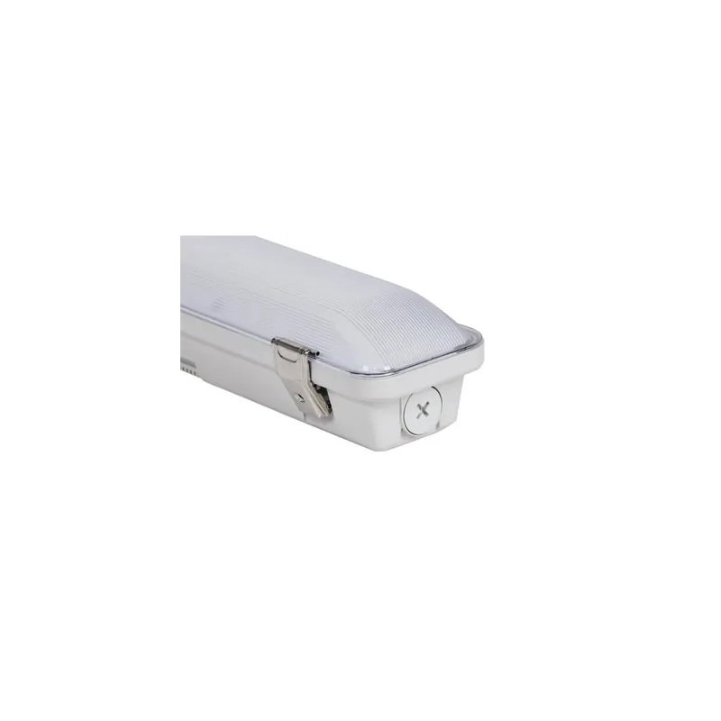 Bestpreis Dotlux LED-Feuchtraumleuchte Mistral Exit Grau 40W 5600lm - 840 Kaltweiß | 154cm - IP66 - 3 Stunden Notlicht - Wählbare Wattzahl - Ersatz Für 2x58W